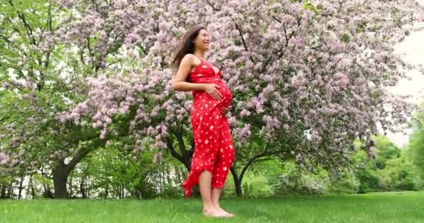 Pregnant Woman Portrait Cherry Blossom Trees Pink Spring Flowers New — Wideo stockowe