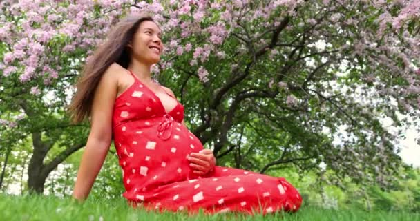 Zwangere Vrouw Gelukkig Portret Zitten Gras Genieten Van Lente Bloemen — Stockvideo