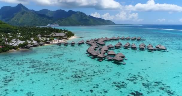 Ilha Paradisíaca Férias Tropicais Com Bungalows Submarinos Resort Recife Corais — Vídeo de Stock