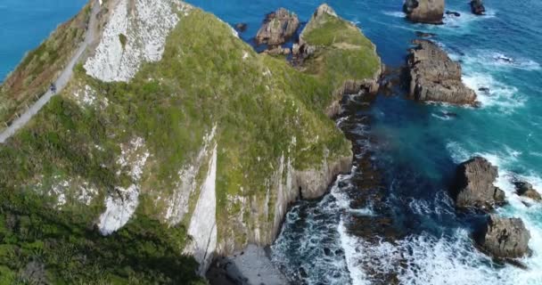New Zealand Aerial Drone Footage Nugget Point Lighthouse Otago Region — Video Stock