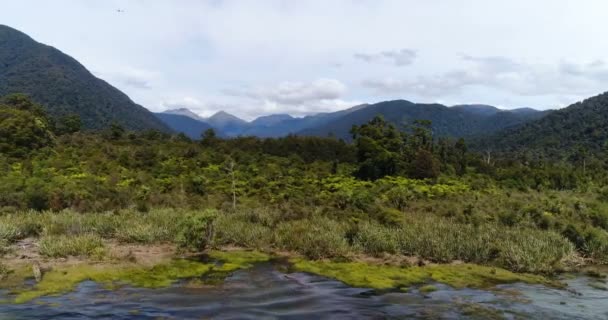 New Zealand Aerial Drone Footage Nature Landscape West Coast Region — стоковое видео