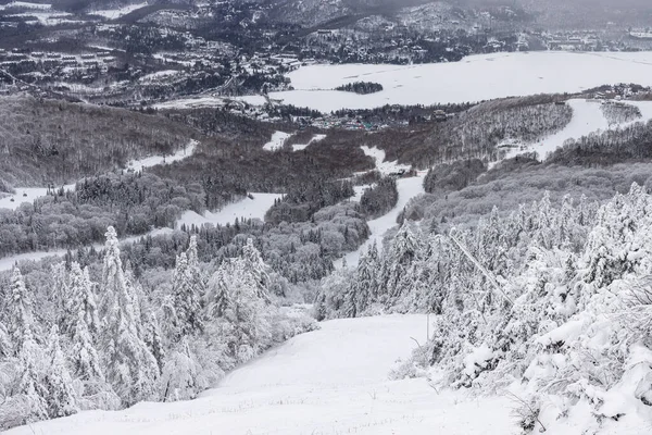 トレムブラントの冬のワンダーランド カナダのケベック州の雪に覆われたパインとスキーの空中ビュー — ストック写真