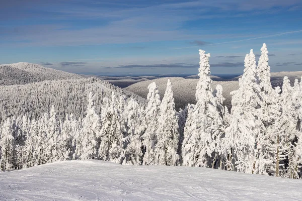 Зимняя Горная Панорама Монт Тремблан Катание Лыжах Среди Величественных Гор Лицензионные Стоковые Фото