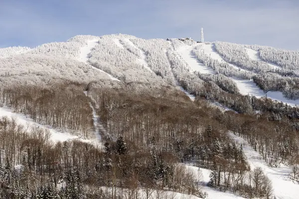 Mont Tremblant Ongerepte Skipistes Sneeuw Bedekte Dennen Een Wintersportplaats Voor — Stockfoto