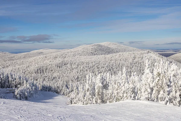 冬季仙境 清澈的冬季全景 柔和的滑雪斜坡和蓝天下覆盖着白雪的树木 是特兰姆布兰特山景的精华 加拿大魁北克劳伦人 — 图库照片