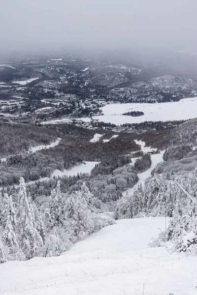 Winter Wonderland Mont Tremblant Skipisten Eine Winterlandschaft Aus Schneebedeckten Bäumen Stockbild