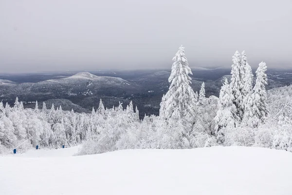 Mont Tremblant Winter Wonderland Majesty Sweeping View Snow Laden Pines — Foto de Stock