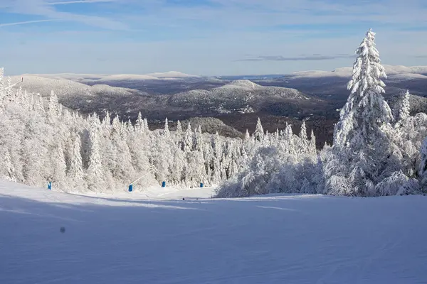 Winterwunderland Skipisten Und Schneebedeckte Bäume Unter Blauem Himmel Die Quintessenz Stockfoto
