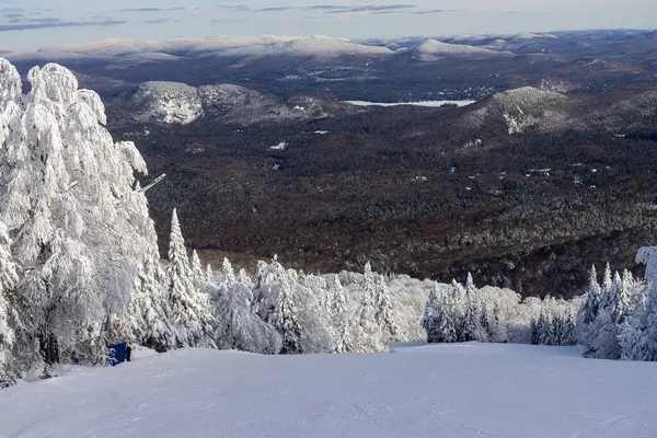 Mont Tremblant Winter Wonderland Majesty Sweeping View Snow Laden Pines — Fotografia de Stock