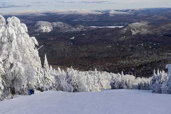 Mont Tremblant Winter Wonderland Majesty Sweeping View Snow Laden Pines Imágenes de stock libres de derechos