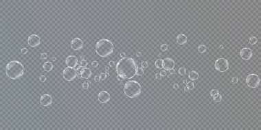 Gerçekçi sabun köpükleri koleksiyonu. Kabarcıklar şeffaf bir arkaplanda yer almaktadır. 