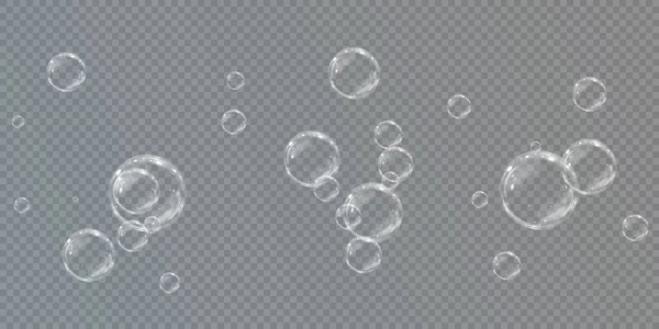 收集现实的肥皂泡 气泡位于透明的背景上 病媒飞舞肥皂泡 泡泡Png水杯泡沫现实Png 矢量说明 — 图库矢量图片