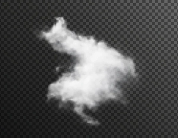 Nube Blanca Transparente Vectorial Acumulación Vapor Humo Gas Coágulo Vapor — Archivo Imágenes Vectoriales