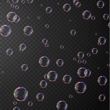 sabun köpükleri. Şeffaf arkaplanı olan şeffaf kabarcıklar. vektör