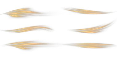 Beyaz arkaplanda izole edilmiş altın vektör tüyleri