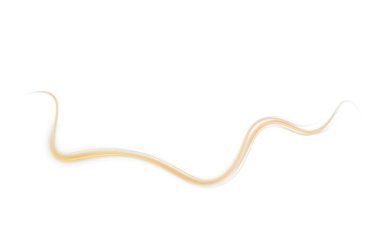 Gerçekçi 3 boyutlu altın solucanı.