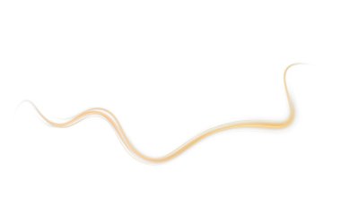 Yılanın gerçekçi 3 boyutlu görüntüsü