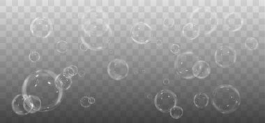 vektör sabun köpüğü şeffaf arkaplan