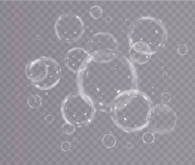 Şeffaf arkaplanda kabarcıklar var. vektör illüstrasyonu