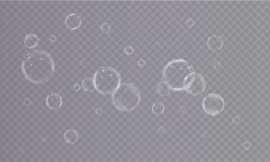 Gerçekçi su damlaları. vektör