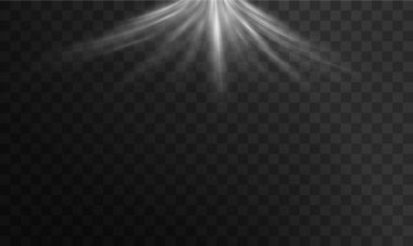 beyaz ışık efekti, şeffaf ışık efekti, vektör, illüstrasyon.
