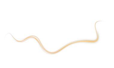 Beyaz arkaplanda izole edilmiş beyaz bir incinin altın ve kahverengi rengi