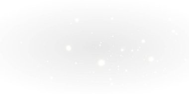 Gümüş Noel ışıkları. ışıl ışıl Noel ışıkları.