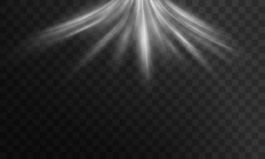 Beyaz spot ışığı. spot ışıkları