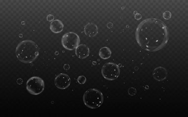 Şeffaf arkaplanda sabun köpükleri