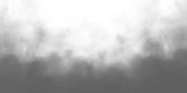 Yumuşak gri sis manzarayı kaplıyor