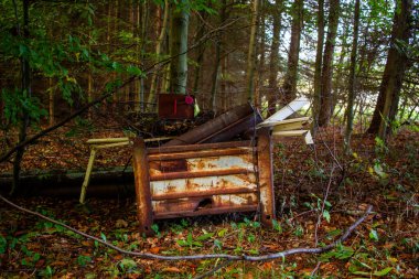 Endüstriyel atıklar ve çöpler bir ormanda depolanmış. Yasak çöplük, eski metal şeyler, Çek Cumhuriyeti.