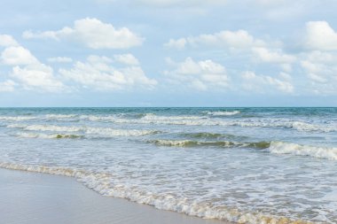 Deniz dalgaları kıyıya vuruyor.