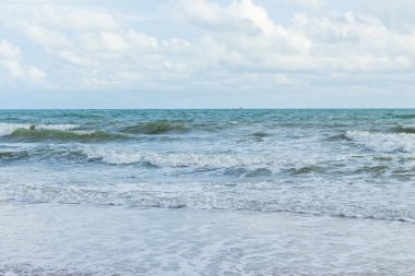 Deniz dalgaları kıyıya vuruyor.