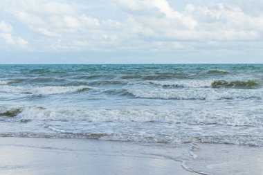 Deniz dalgaları kıyıya vuruyor.