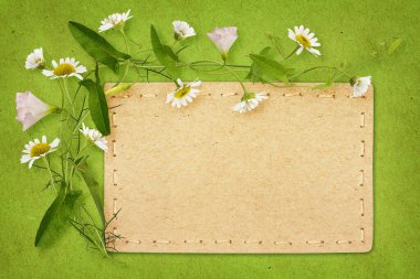 Bindweed and daisy flowers with card on green paper background clipart