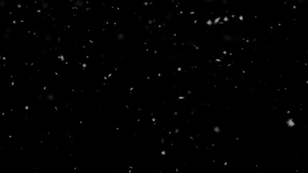 自然逼真的3D雪花飘落在黑色的背景上 摘要现代假日降雪背景 循环新年 圣诞夹子 — 图库视频影像