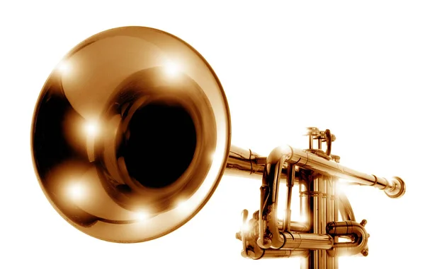 Luas Sudut Tampilan Trompet Emas Putih — Stok Foto