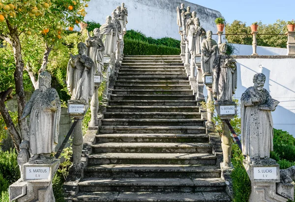 Stairs Pao Obispo Garden Castelo Branco Portugal — Stock Photo, Image