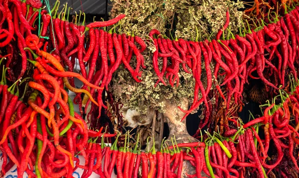 Hromada Červených Pálivých Paprik Bylin Koření Pouličním Trhu Kusdasi Krůtí — Stock fotografie