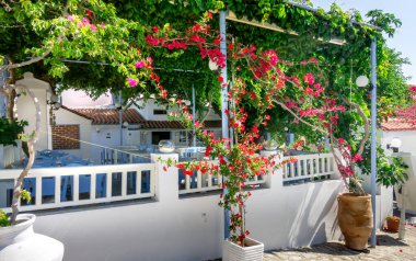 Geleneksel Yunan tavernasının patikası