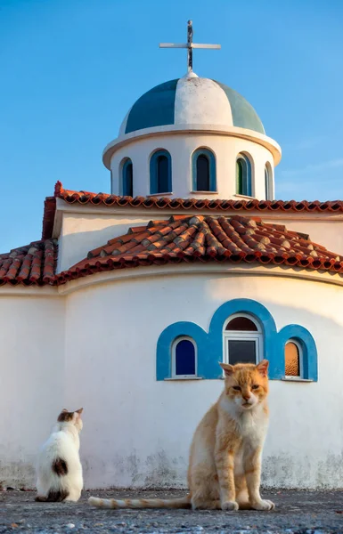 Blick Auf Kleine Kirche Des Griechischen Dorfes Mit Katzen — Stockfoto