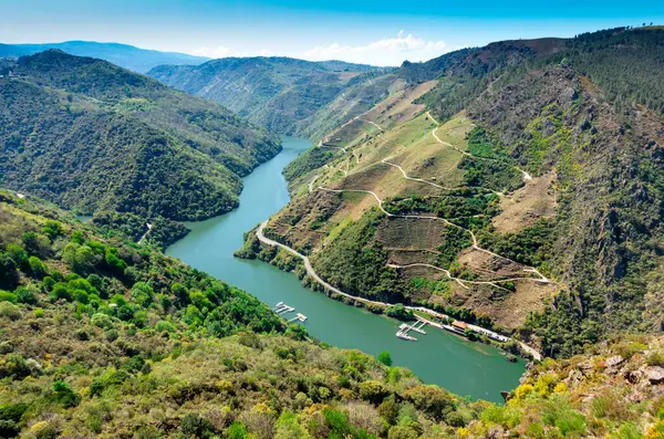 Krajobraz Rzeki Sil Ribeira Sacra Galicja Hiszpania Zdjęcie Stockowe