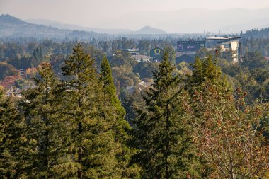 Skinner Butte 'dan Autzen Stadyumu ve Willamette Vadisi' nin sıcacık bir sonbahar gününde manzarası.