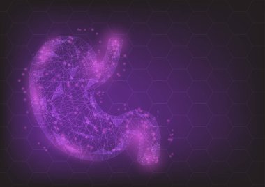 düşük çokgen şeffaf insan midesi, sağlık konsepti.