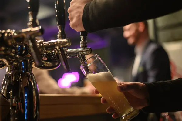 Barmen barda çalışırken bira musluğu kullanıyor.
