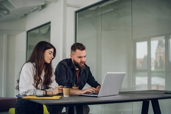 Erkek ve bayan meslektaşlar, toplantı sırasında bilgisayar kullanırken online yazılım stratejilerini tartışıyor ve iş birliği yapıyorlar. Ofis arkadaşları birlikte proje planlıyor.