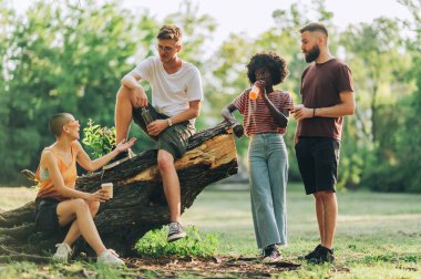 Dünya gününü doğada geçiren çok kültürlü küçük bir çevreci grup. Güneşli bir günde doğal güzelliklerin tadını çıkarırken ırklar arası genç çevreci arkadaşlar sohbet ediyor ve birlikte harika vakit geçiriyorlar..
