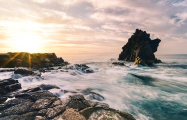 Madeira 'nın güzelliği, Portekiz. Yüksek kalite fotoğraf