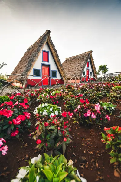 Portekiz, Madeira, Santana. Yüksek kalite fotoğraf
