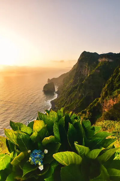 Madeira 'nın güzelliği, Portekiz. Yüksek kalite fotoğraf